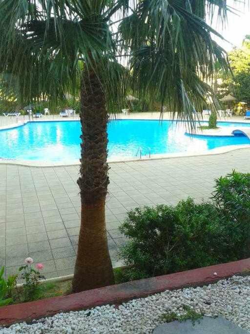 Piso Moderno Con Piscina Siesta 2 Apartman Port de Alcudia  Kültér fotó